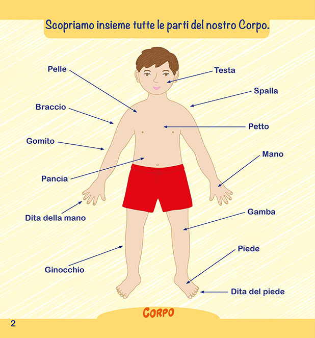 Il Corpo Umano - PaPelu, Libri per Bambini e Bambine