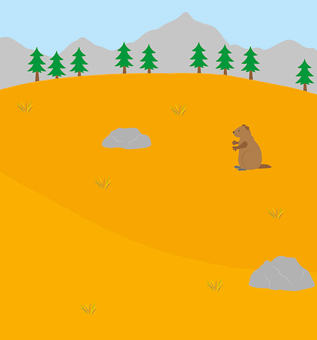 I Miei Primi Autoadesivi Removibili gli Animali della Montagna - PaPelu, Libri per Bambini e Bambine