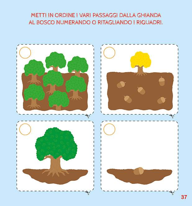 Il mio Primo Quaderno del Bosco - PaPelu, Libri per Bambini e Bambine