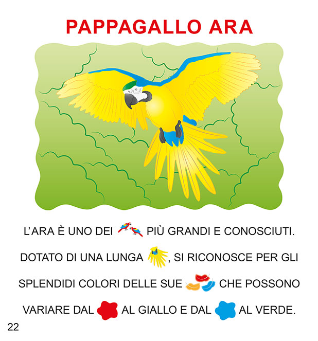 Guardo Leggo Scopro gli Animali della Giungla - PaPelu, Libri per Bambini e Bambine