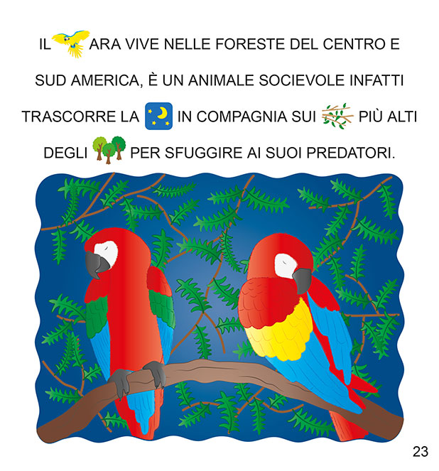 Guardo Leggo Scopro gli Animali della Giungla - PaPelu, Libri per Bambini e Bambine
