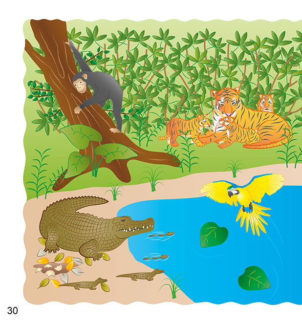 Guardo Leggo Scopro gli Animali della Giungla - PaPelu, Libri per Bambini e Bambine