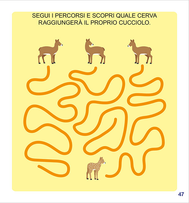 Imparo Coloro Gioco gli Animali della Montagna - PaPelu, Libri per Bambini e Bambine