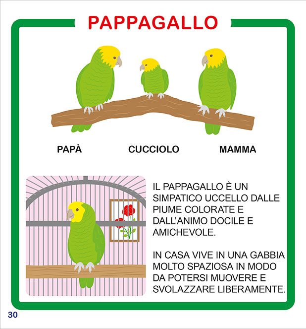 Imparo Coloro Gioco gli Animali Domestici - PaPelu, Libri per Bambini e Bambine